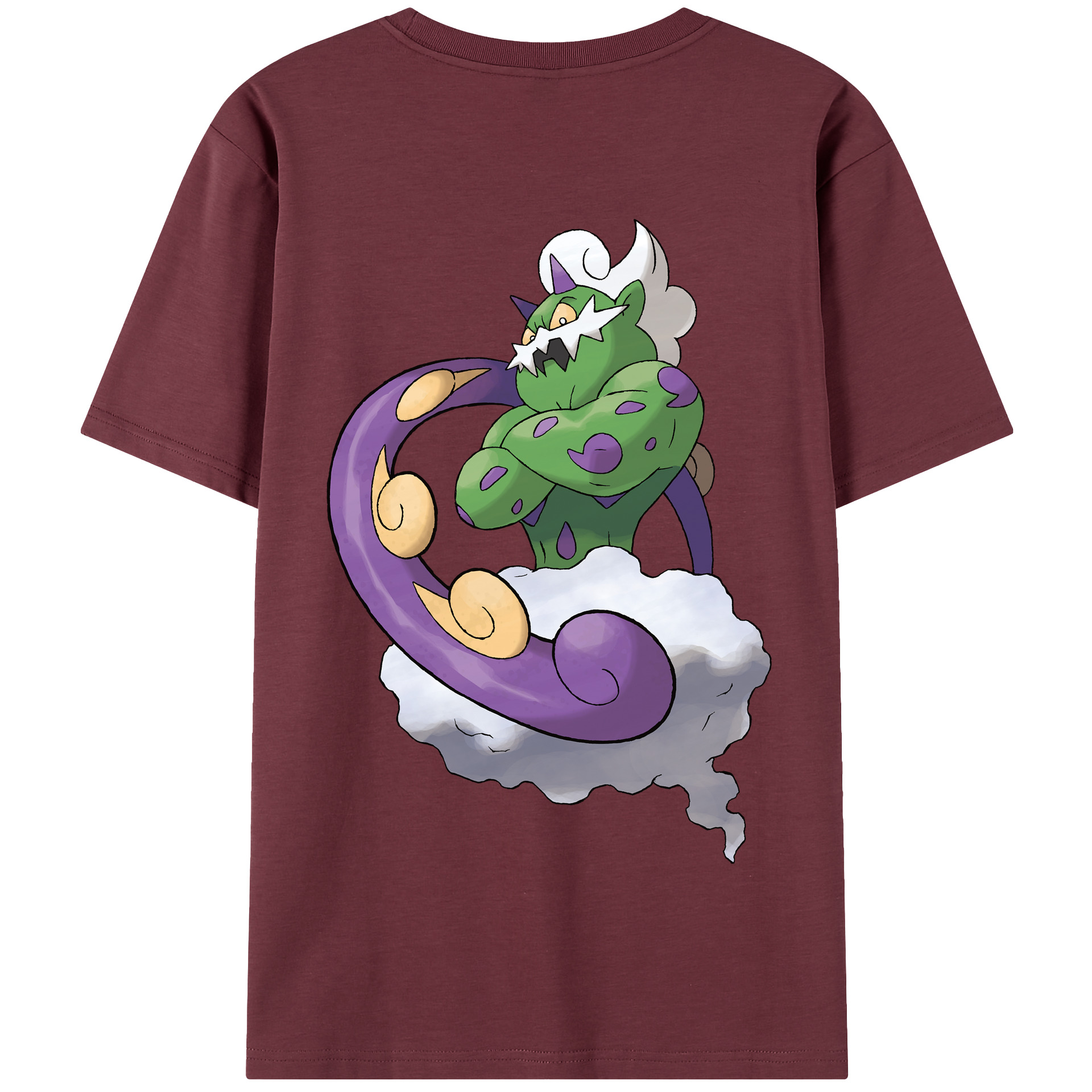 （画像用） ポケットモンスター Pokémon 綿100％半袖Tシャツ（背面プリント）